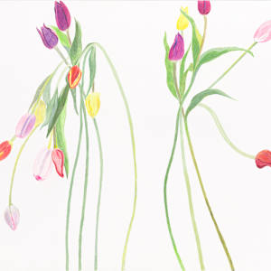 Flower Family 4 by Ellen Hamilton O'Donnell