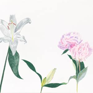 Flower Family 3 by Ellen Hamilton O'Donnell