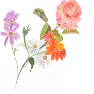 Cutting Garden 4 by Ellen Hamilton O'Donnell