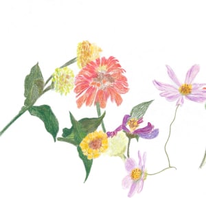 Cutting Garden 5 by Ellen Hamilton O'Donnell