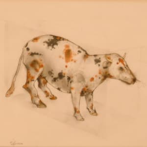 Cow (Unknown to this Region) by Gary Spinosa