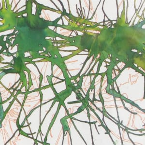 Sea Weeding by Phil Soucy