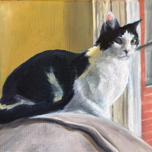 Perched by Maeve Billings