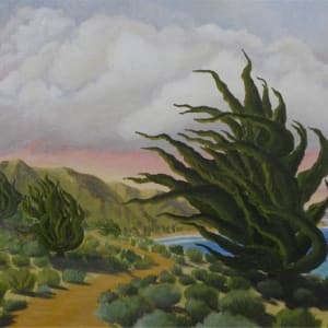 Cypress, Santa Barbara by Carol Geyer