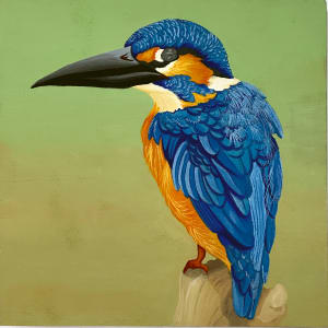 Kingfisher by Ashley Fay