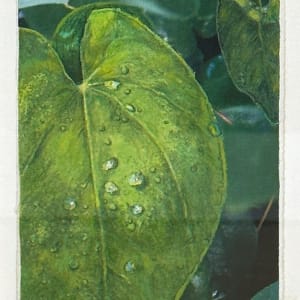 Epimedium Leaf by Mary Lou Ferbert