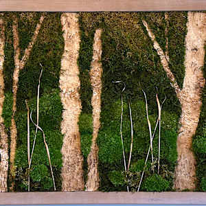 Silence in Birch Forest by Ellie Januasukaite