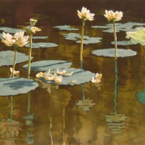 American Lotuses by David Rankin