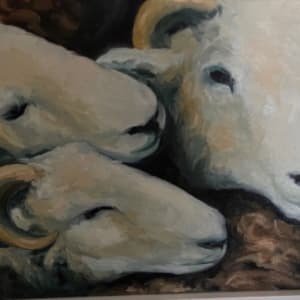 Herd Conversations by Maeve Billings