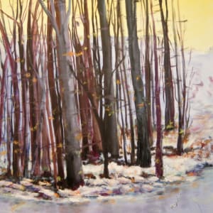 Yellow Sky at Chapin by Mary M Kinsley