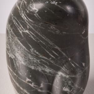 Banded Venus by Charles Herndon