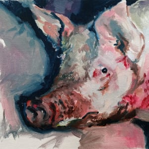 Pig by Frank Hadzima