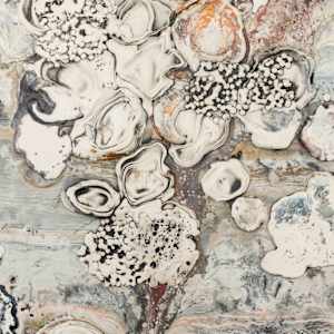 Dark Attractor by Lynn Basa 