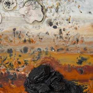 Dark Attractor by Lynn Basa 