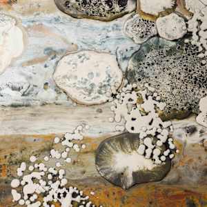 Dark Attractor by Lynn Basa 