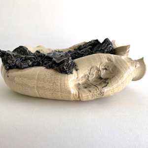 Disaster #12 by Lynn Basa 