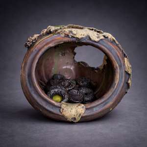 Sanctuary by Lynn Basa, Image 5.