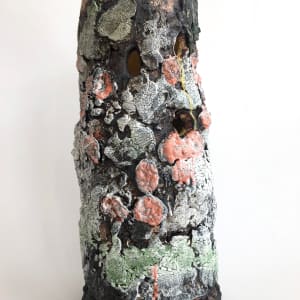 Lichen Stump by Lynn Basa 
