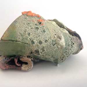 Remains #13 by Lynn Basa 