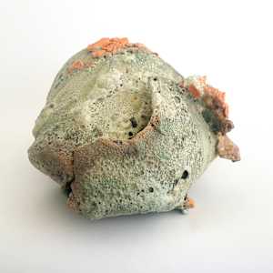 Remains #13 by Lynn Basa 