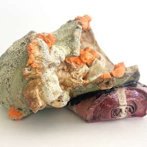 Remains #13 by Lynn Basa 