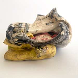 Remains #14 by Lynn Basa 