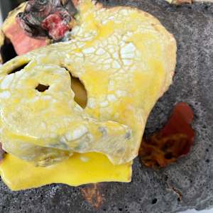 Remains #17 by Lynn Basa 
