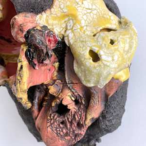 Remains #17 by Lynn Basa 