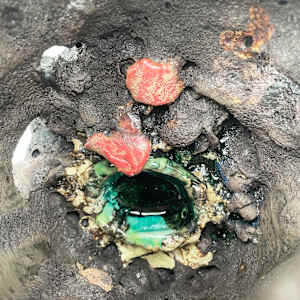 Remains #18 by Lynn Basa 