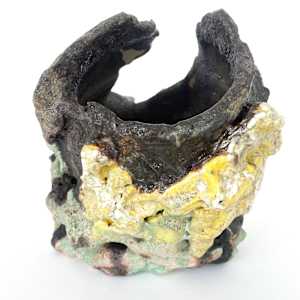 Remains #18 by Lynn Basa 