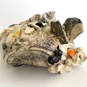Remains #5 by Lynn Basa 