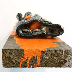 Remains #5 by Lynn Basa, Image 7.
