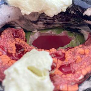Remains #8 by Lynn Basa 