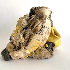 Remains #9 by Lynn Basa 