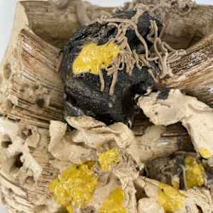 Remains #9 by Lynn Basa 