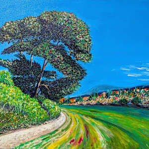 The pines of La Conte (Carcassonne) / Les pins de la Conte (Carcassonne) by Olena Kvit
