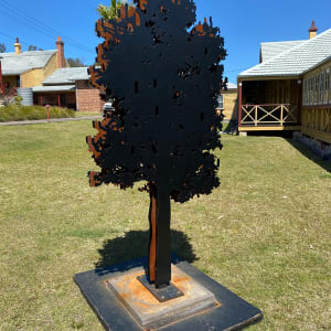 Banksia by Helena 