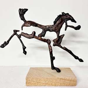 Frolic Foal (3) by Helena 