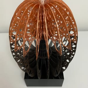 Torus nature flow by Helena