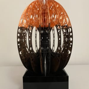 Torus nature flow by Helena 