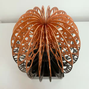 Torus nature flow by Helena 
