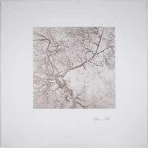 Hreðavatn No.1 1/12 by Hlynur Helgason