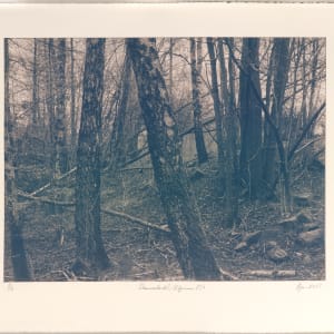 Draumalandið / Elysium N°10 by Hlynur Helgason