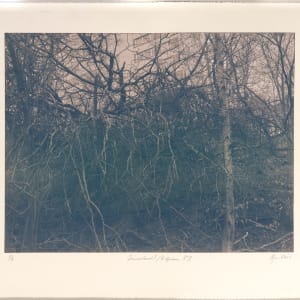 Draumalandið / Elysium N°11 by Hlynur Helgason