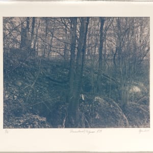 Draumalandið / Elysium N°14 by Hlynur Helgason