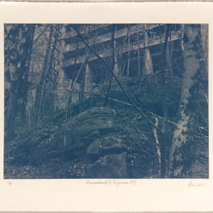 Draumalandið / Elysium N°3 by Hlynur Helgason