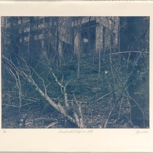 Draumalandið / Elysium N°4 by Hlynur Helgason, Image 2.