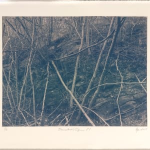 Draumalandið / Elysium N°8 by Hlynur Helgason