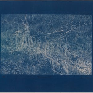 Vetrarskógur / Winter forest N°1 by Hlynur Helgason