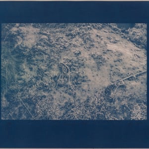 Vetrarskógur / Winter forest N°2 by Hlynur Helgason